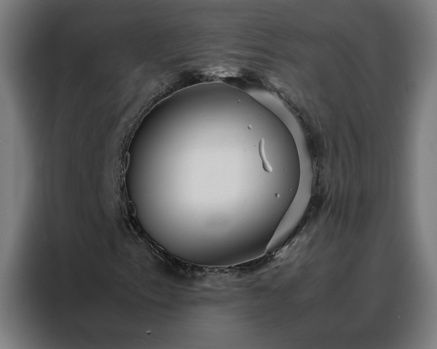 X0000088171153200705221616