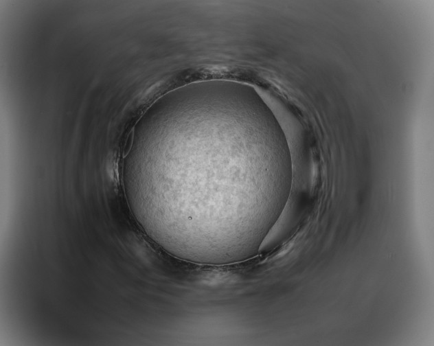 X0000088171155200705221616