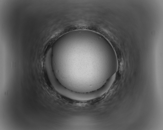 X0000088171157200705221616