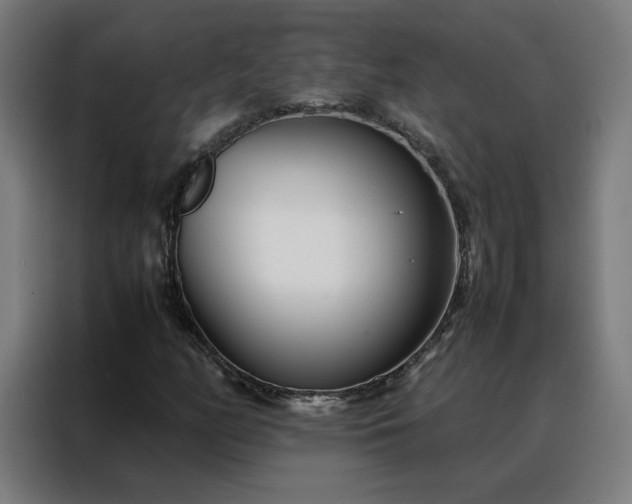 X0000088171158200705221616