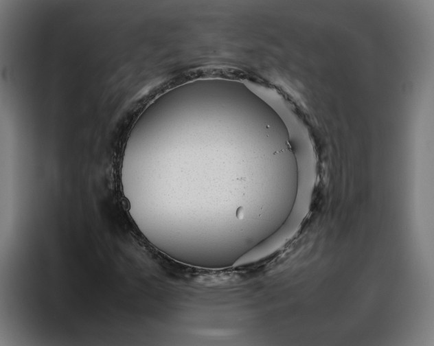 X0000088171159200705221616