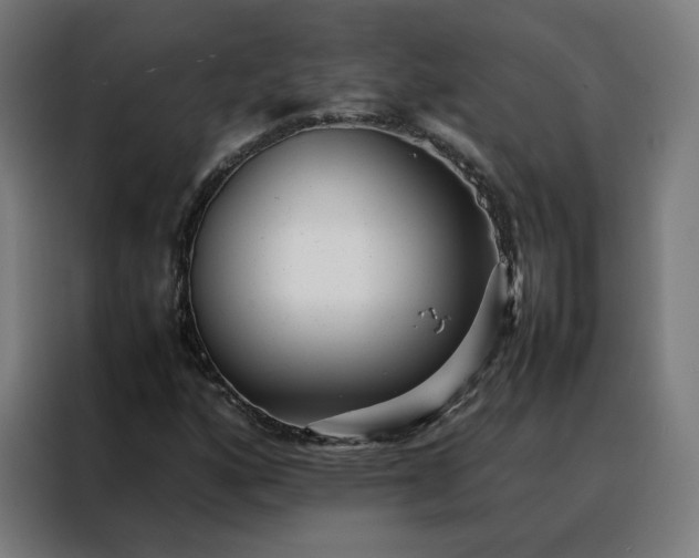 X0000088171160200705221616