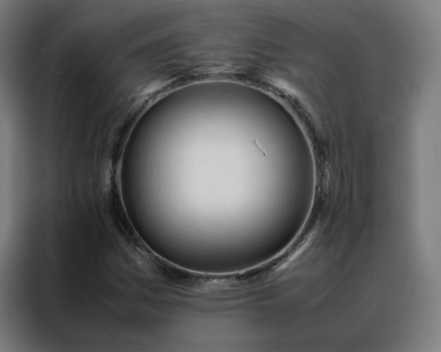 X0000088171161200705221616