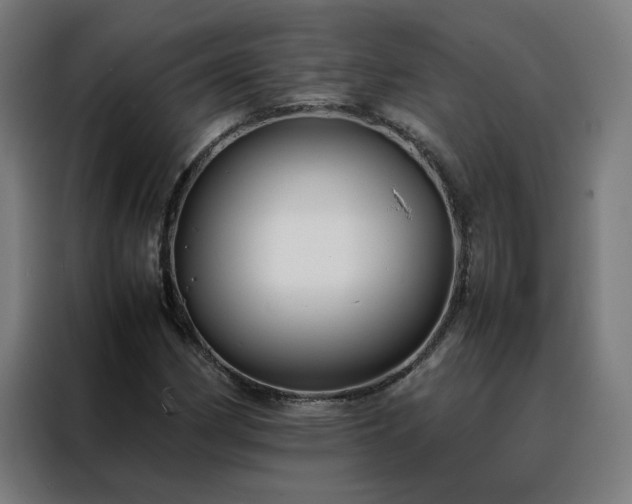 X0000088171162200705221616