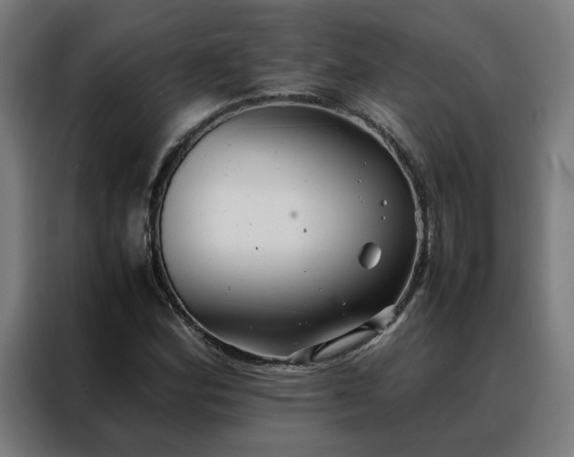 X0000088171164200705221616