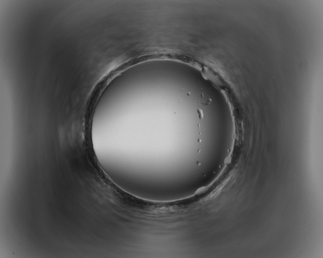 X0000088171165200705221616