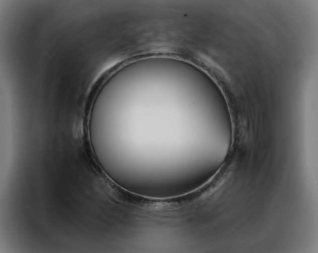 X0000088171166200705221616