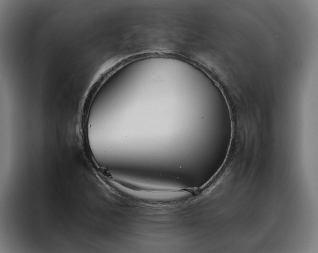 X0000088171168200705221616