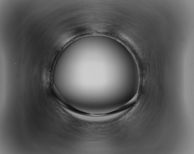 X0000088171169200705221616