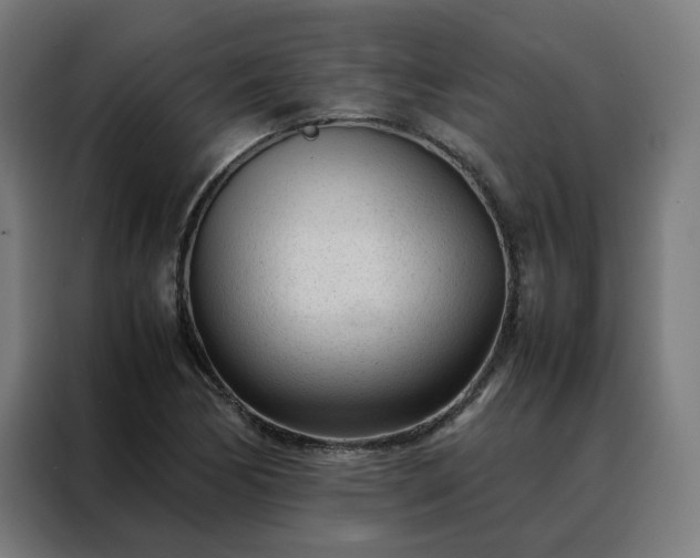 X0000088171170200705221616