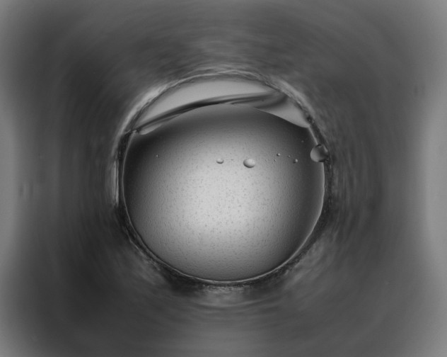 X0000088171171200705221616