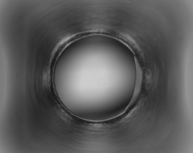 X0000088171172200705221616