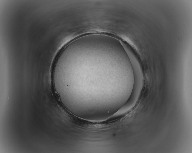 X0000088171173200705221616