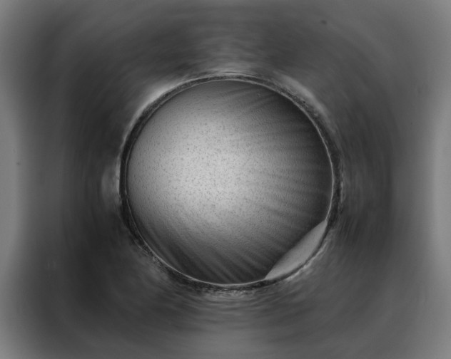 X0000088171174200705221616