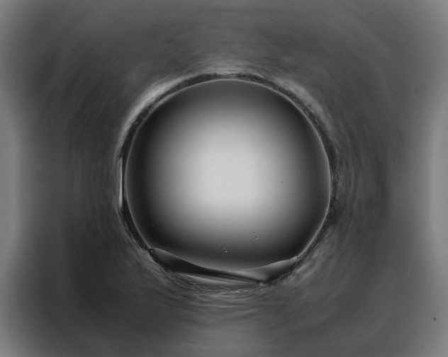 X0000088171175200705221616