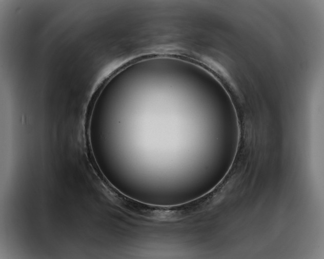 X0000088171176200705221616