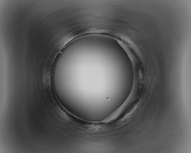 X0000088171177200705221616