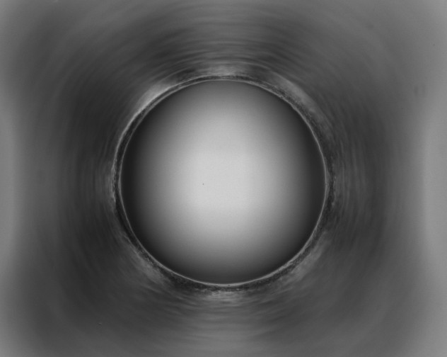 X0000088171178200705221616