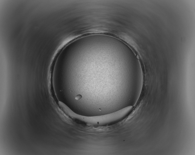 X0000088171179200705221616