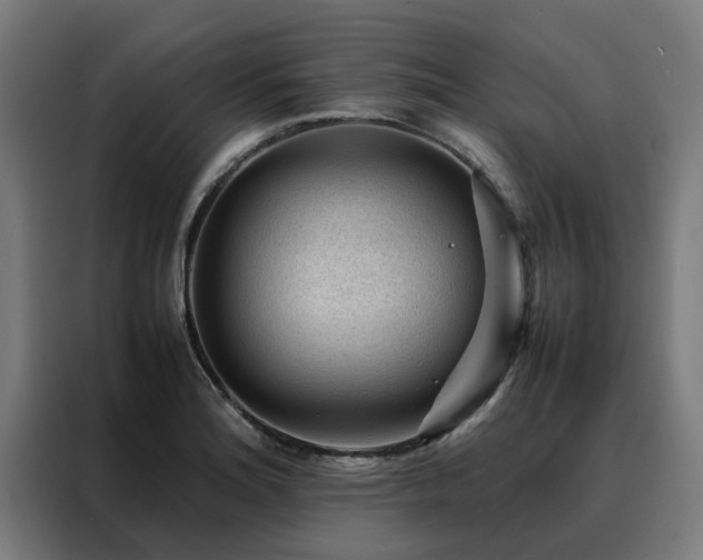 X0000088171180200705221615