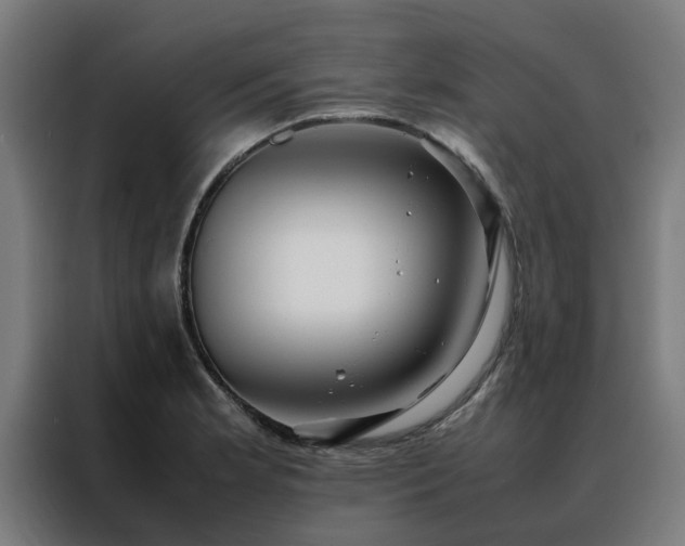 X0000088171181200705221615