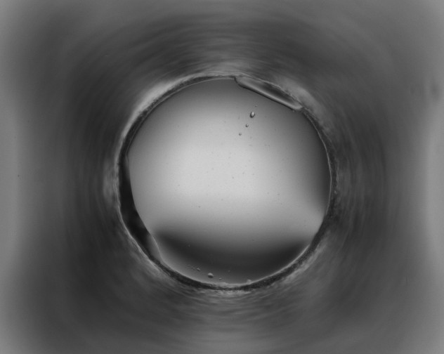 X0000088171184200705221615