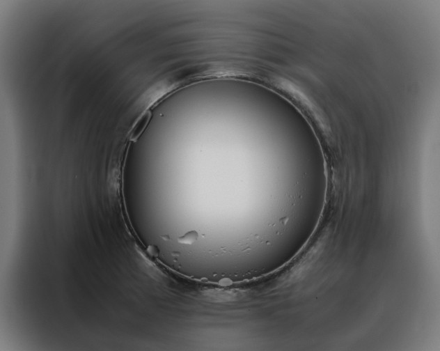 X0000088171185200705221615