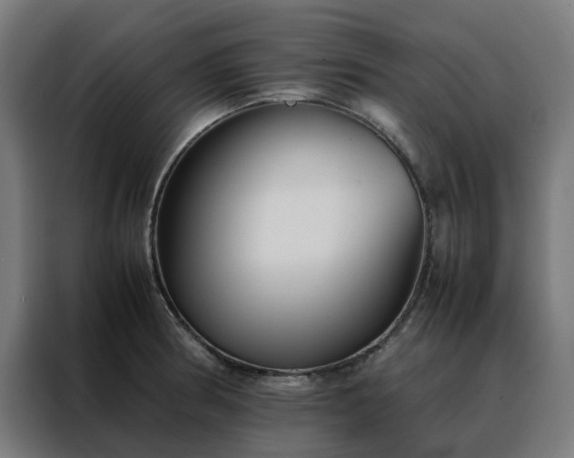 X0000088171186200705221615