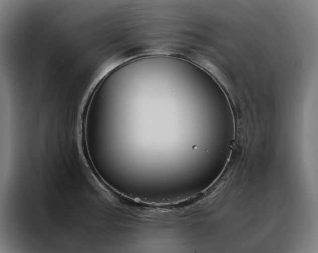 X0000088171187200705221615