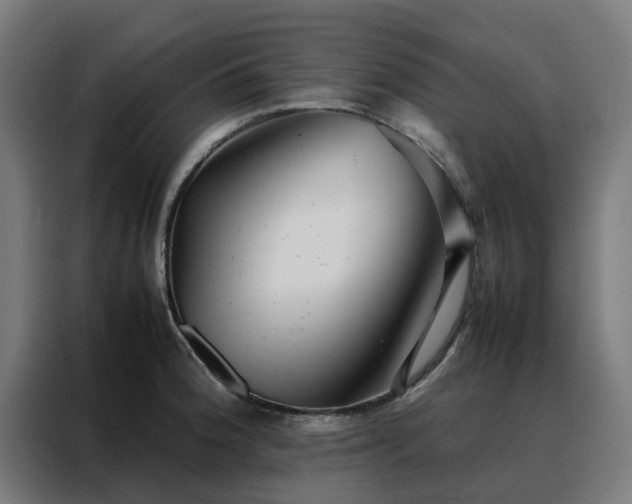 X0000088171188200705221615