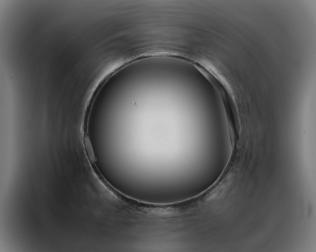 X0000088171189200705221615