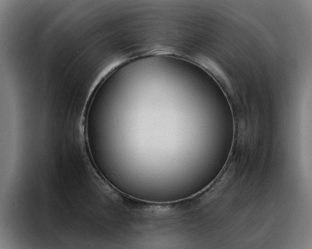 X0000088171190200705221615