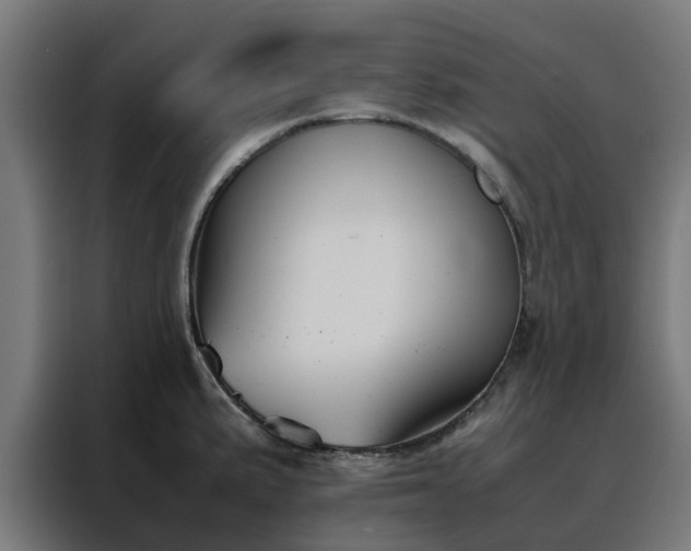 X0000088171191200705221615