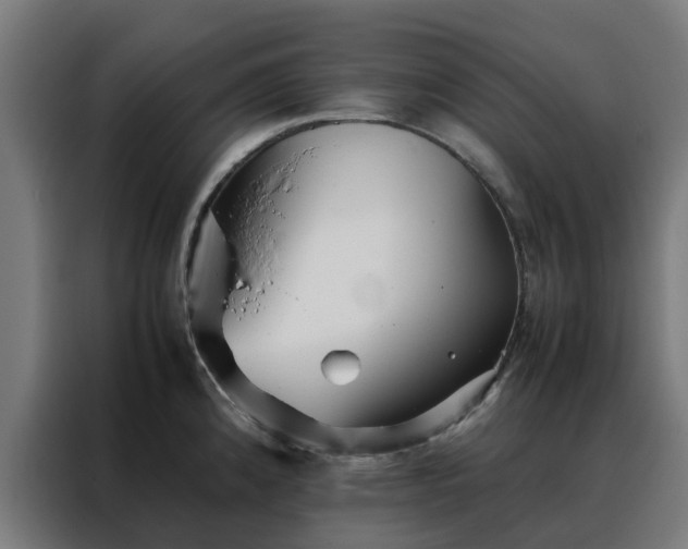 X0000088171192200705221615