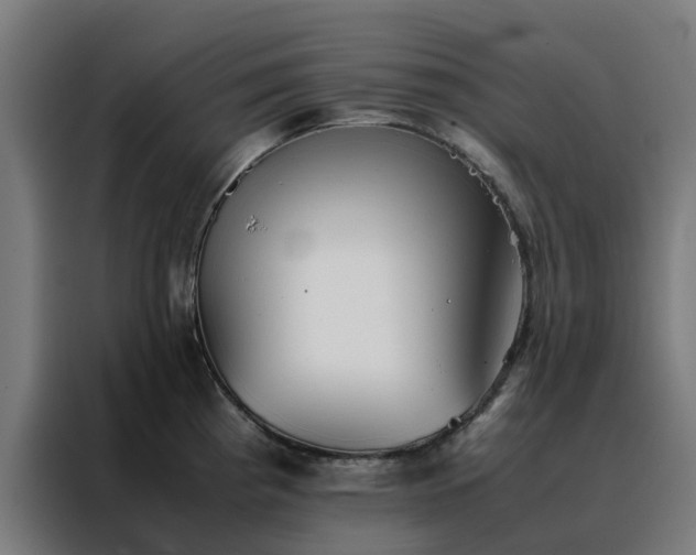 X0000088171193200705221615