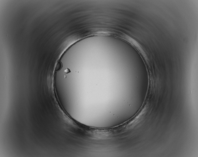 X0000088171194200705221615