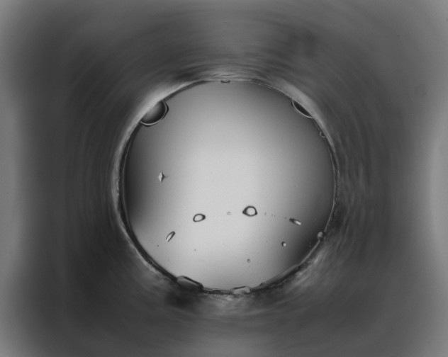 X0000088171195200705221615