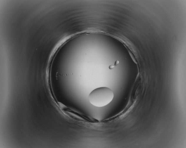 X0000088171196200705221615