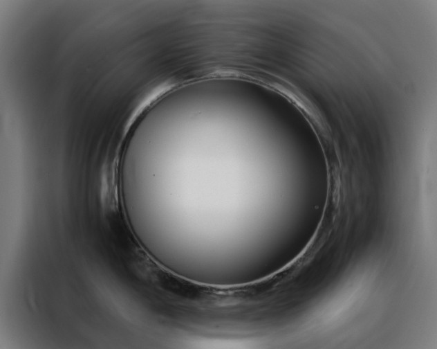 X0000088171198200705221615