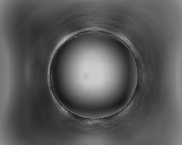 X0000088171199200705221615