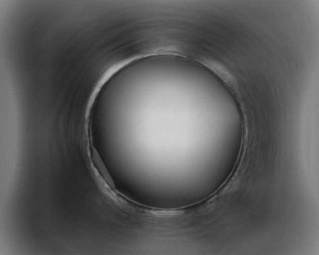 X0000088171200200705221615