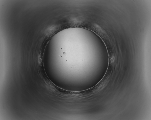 X0000088171204200705221615