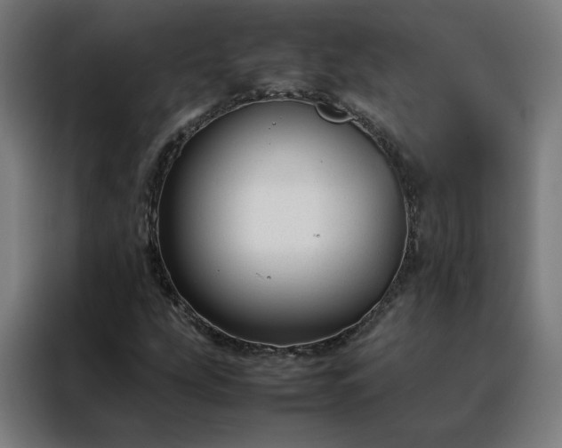 X0000088171207200705221615