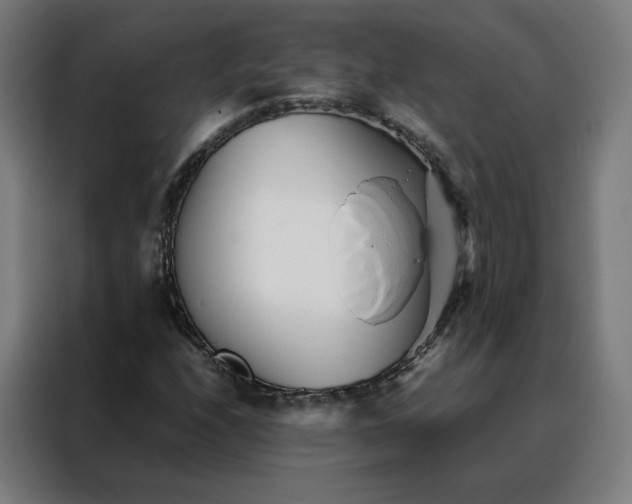 X0000088171208200705221615