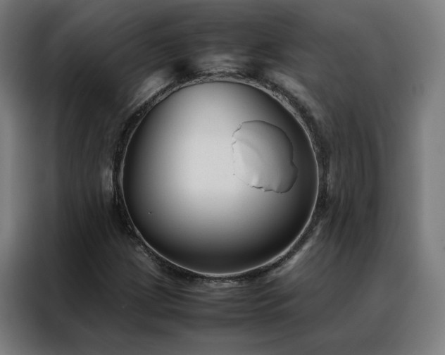 X0000088171209200705221615