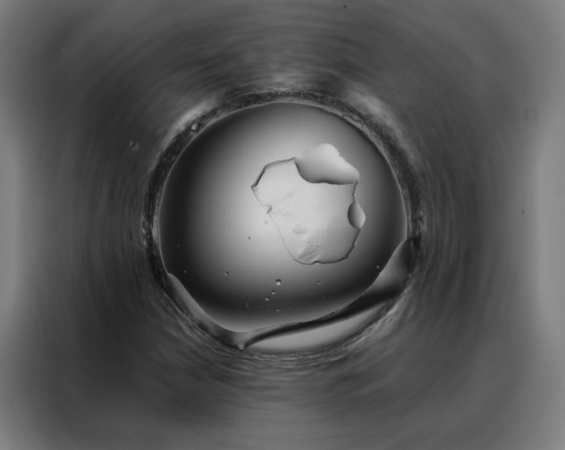 X0000088171210200705221615