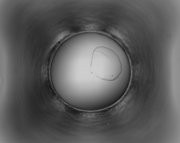 X0000088171211200705221615