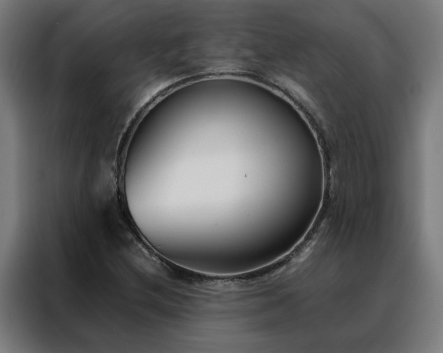 X0000088171212200705221615