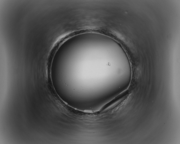 X0000088171214200705221615