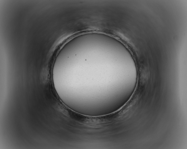 X0000088171215200705221615